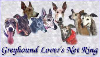 greyhound lover's net ring